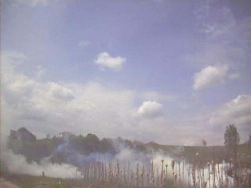 ����� 2009